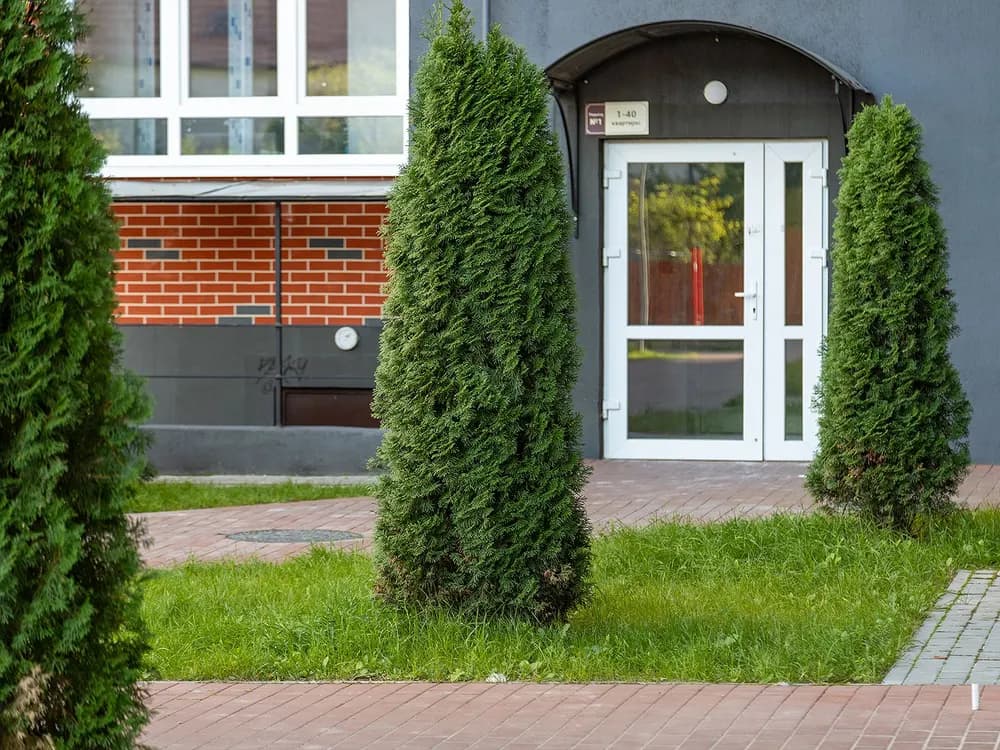 Рендер ЖК Родина, фото 5